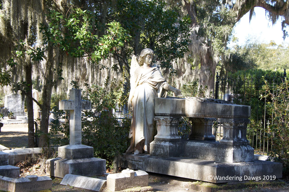 20190126-bonaventure-(56)