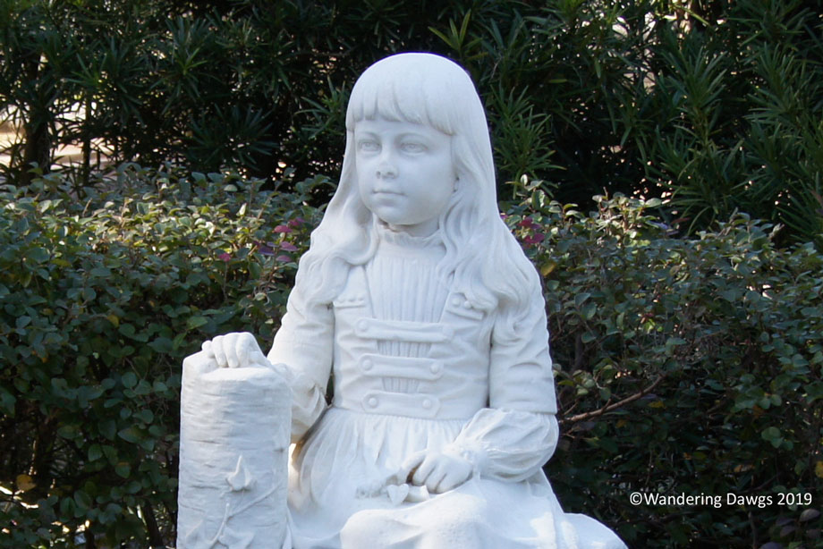 20190126-bonaventure-closeup(46)