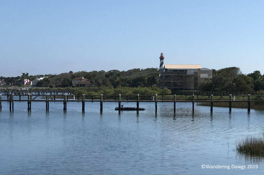 20190211-St-Augustine-Alligator-Farm-(17)