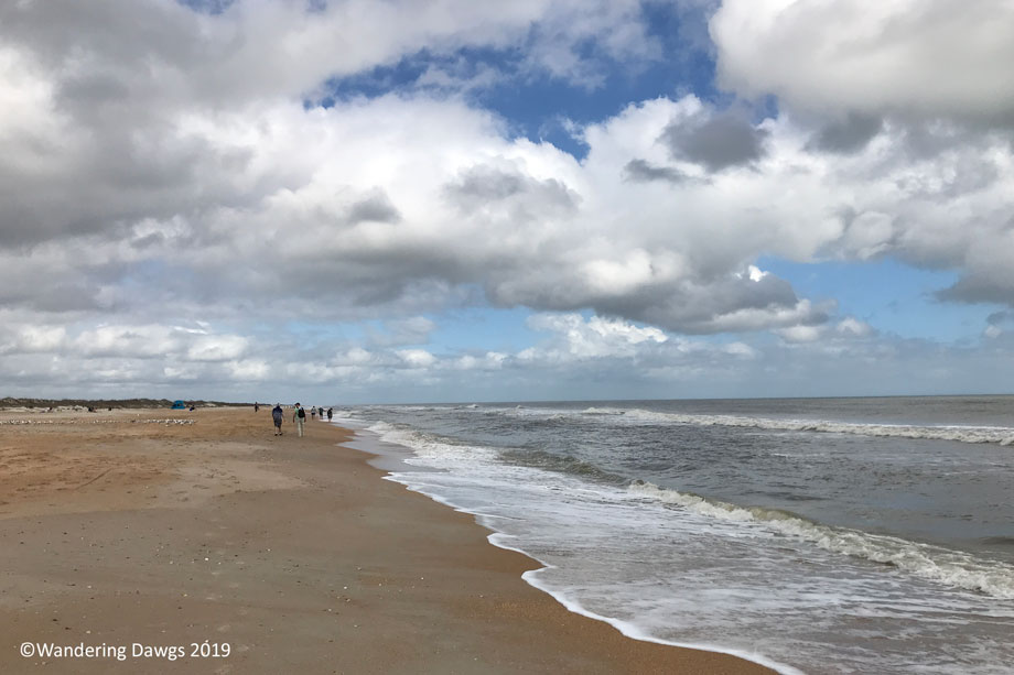 20190212-Anastasia-(1)