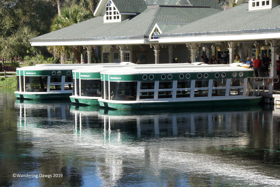 20190221-Silver-Springs-Boardwalk-Trail-(18)