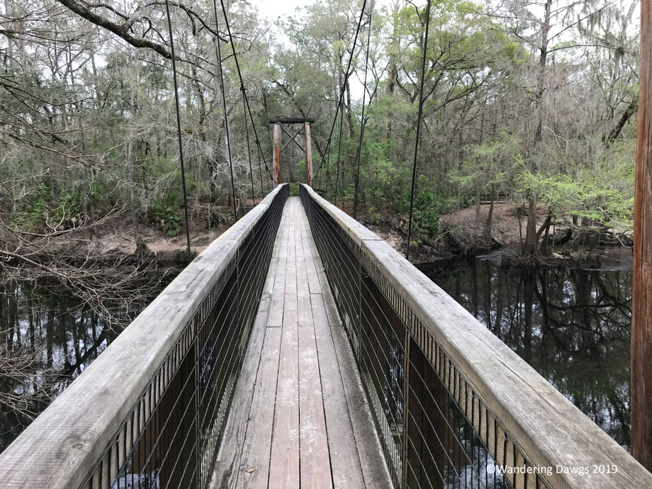 20190226-Oleno-IPhone-(3)