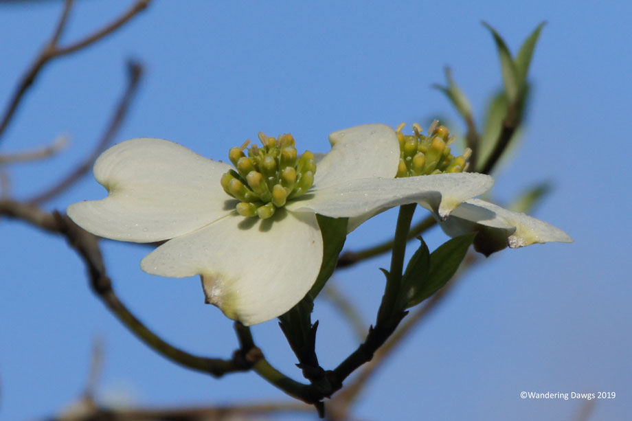 20190227-AM-OLeno-SP-(4)