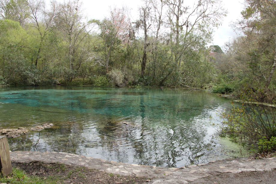 20190227-Ichetuchnee-Springs-(8)