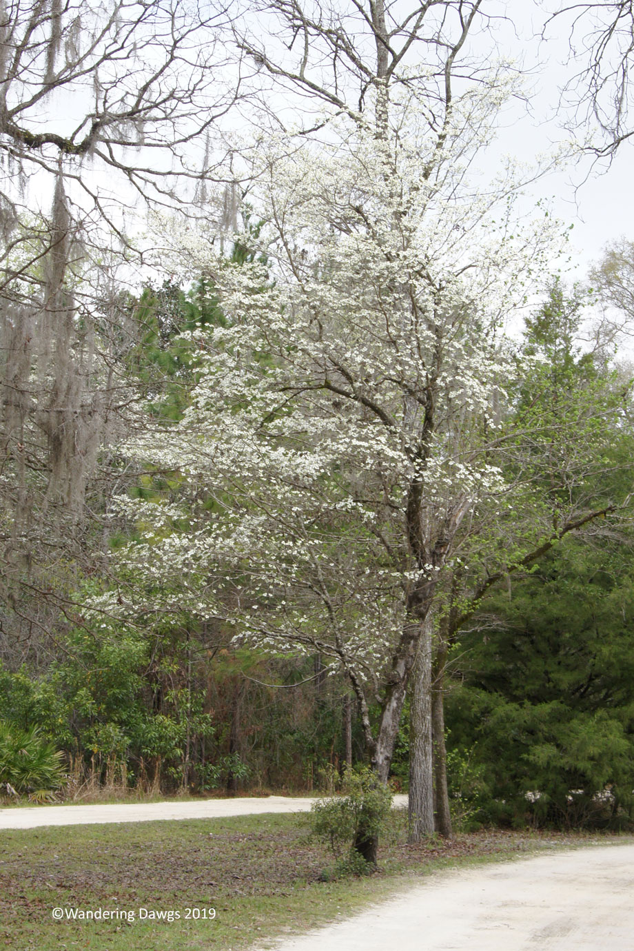 20190228-am-Santa-Fe-Sink-Trail-(2)
