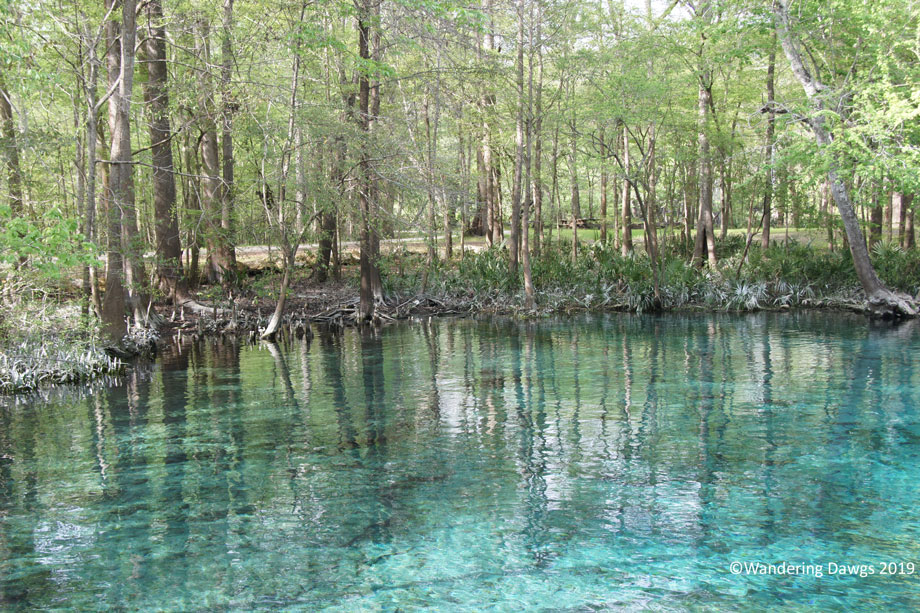 20190228-pm-Ginnie-Springs-(1)
