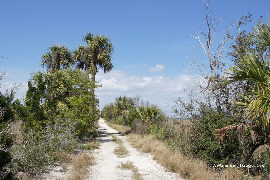 20190310-Rails-to-Trails-(11)