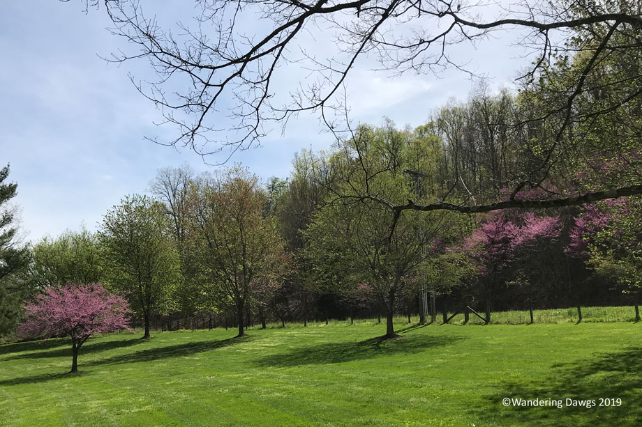 20190417-Virginia-Welcome-Center-(9)