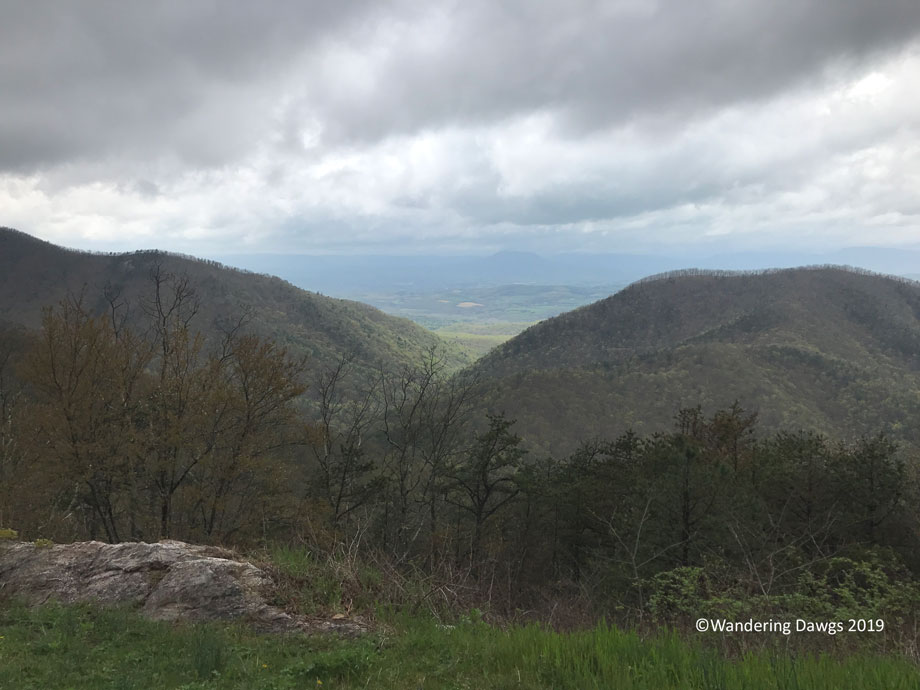 20190419-Blue-Ridge-Parkway-IPhone-(1)