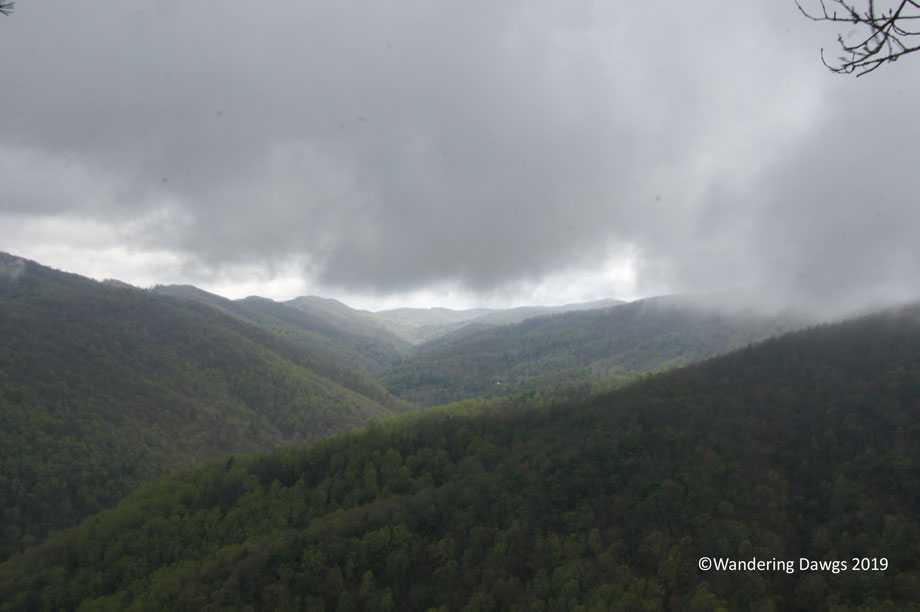 20190419-Blue-Ridge-Parkway-Virginia-(27)