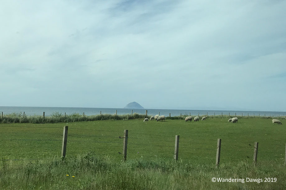20160515-Day-15-Ferry-to-Scotland-Glasgow-IPhone-(14)