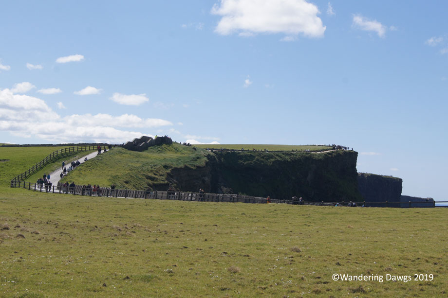 20190504-Cliffs-of-Moher-(19)