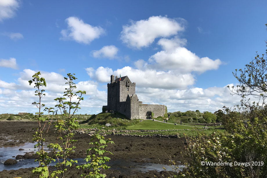 20190504-Day-4-Cliffs-of-Moher-IPhone-(14)