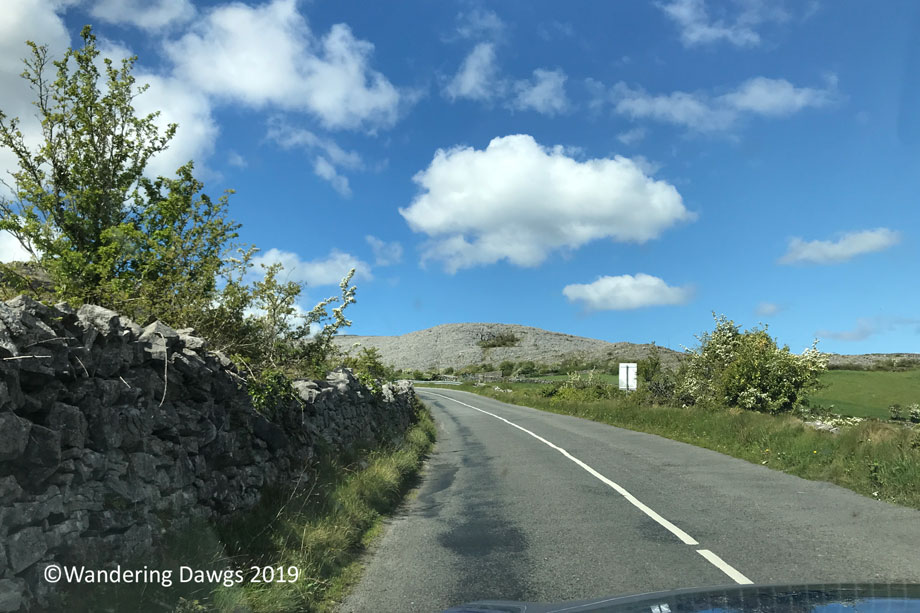 20190504-Day-4-Cliffs-of-Moher-IPhone-(20)