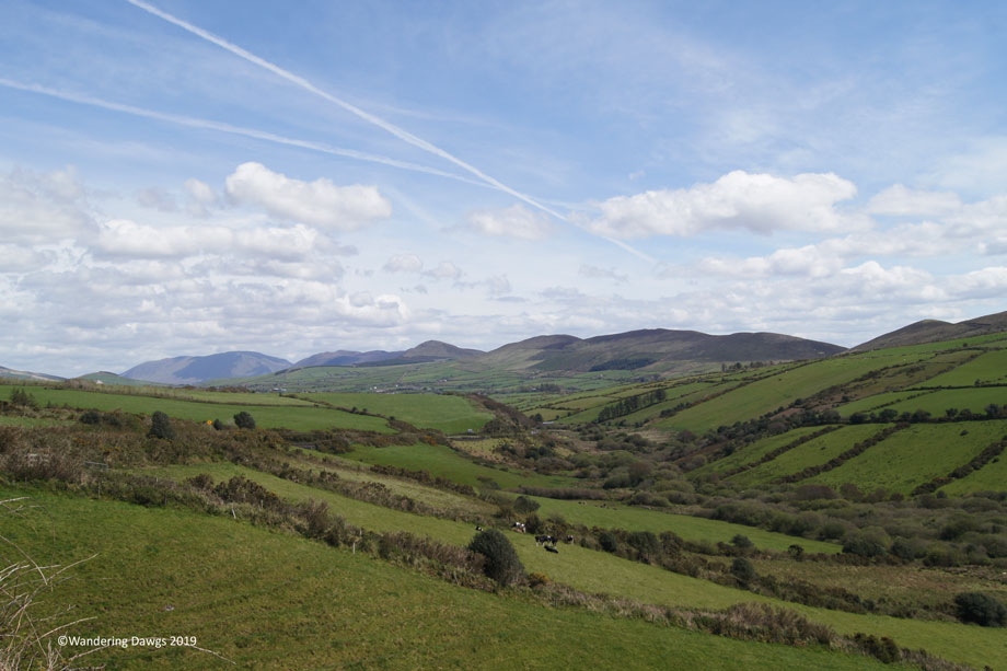 20190506-Dingle-Sony-(19)