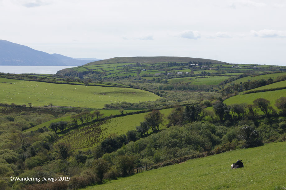20190506-Dingle-Sony-(23)
