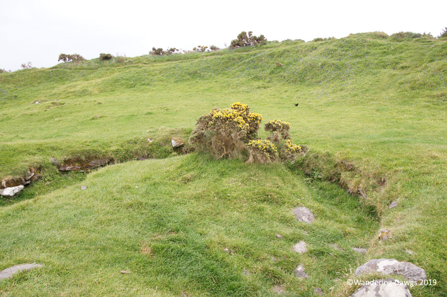 20190507-Day-7-Dingle-Peninsula-Sony-(27)