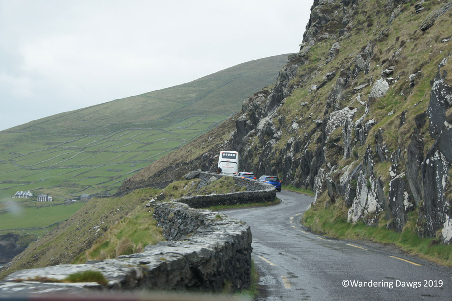20190507-Day-7-Dingle-Peninsula-Sony-(51)