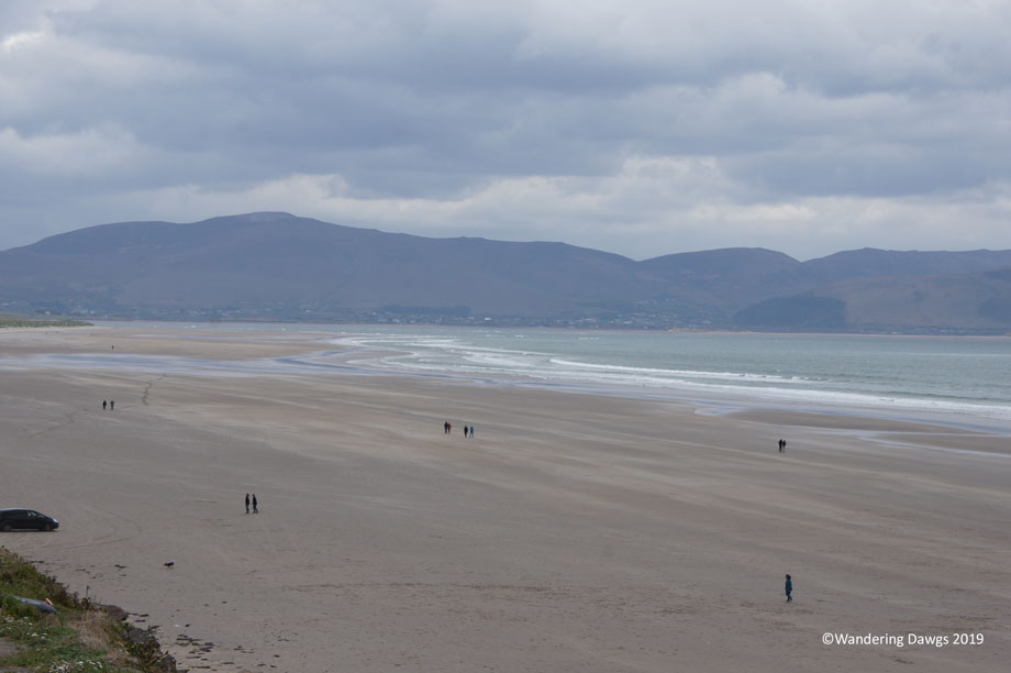 20190507-Day-7-Dingle-Peninsula-Sony-(74)