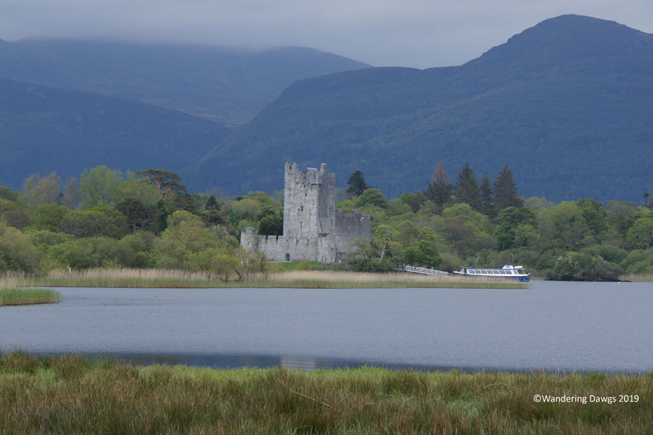 20190508-Day-8-Jaunting-Tour-Killarney-National-Park-Sony-(53)