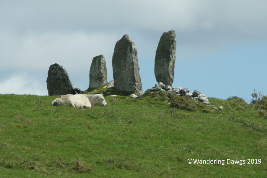 20190509-Day-9-Ring-of-Kerry-Sony-(154)
