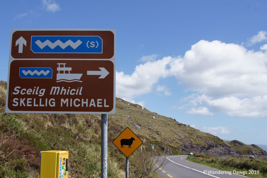 20190509-Day-9-Ring-of-Kerry-Sony-(174)