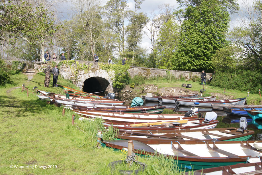 20190510-Day-10-Ross-Castle-Killarney-to-Blarney-Sony-(1)