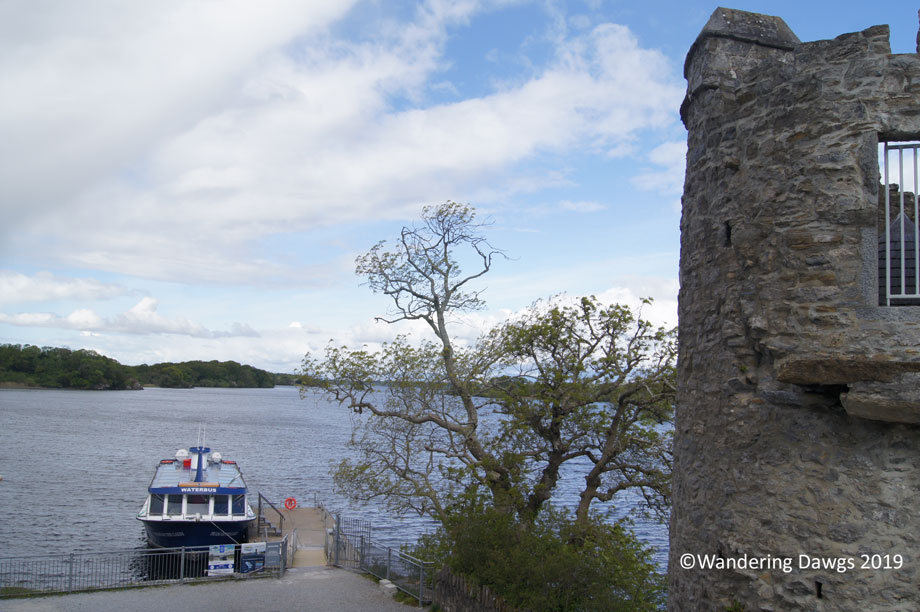 20190510-Day-10-Ross-Castle-Killarney-to-Blarney-Sony-(36)