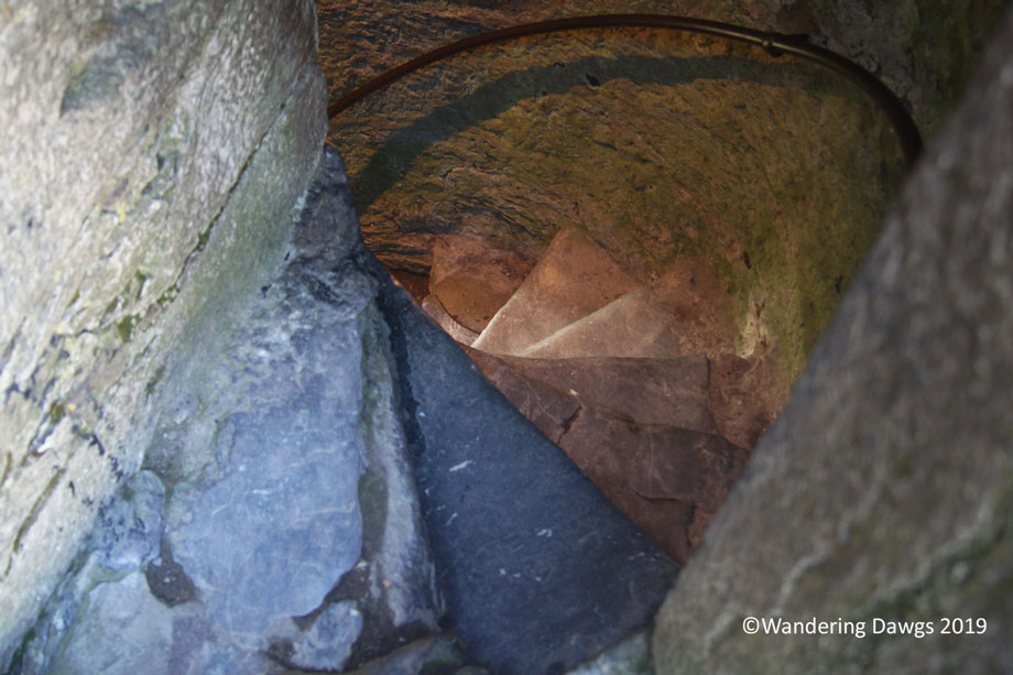 20190511-Day-11-Blarney-Stone-Henrys-birthday-Sony-(10)