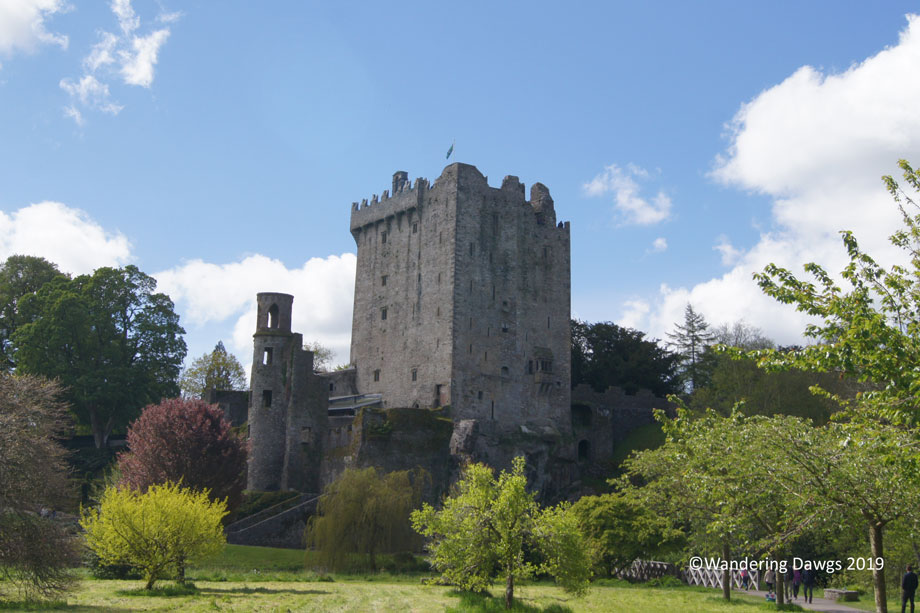 20190511-Day-11-Blarney-Stone-Henrys-birthday-Sony-(48)