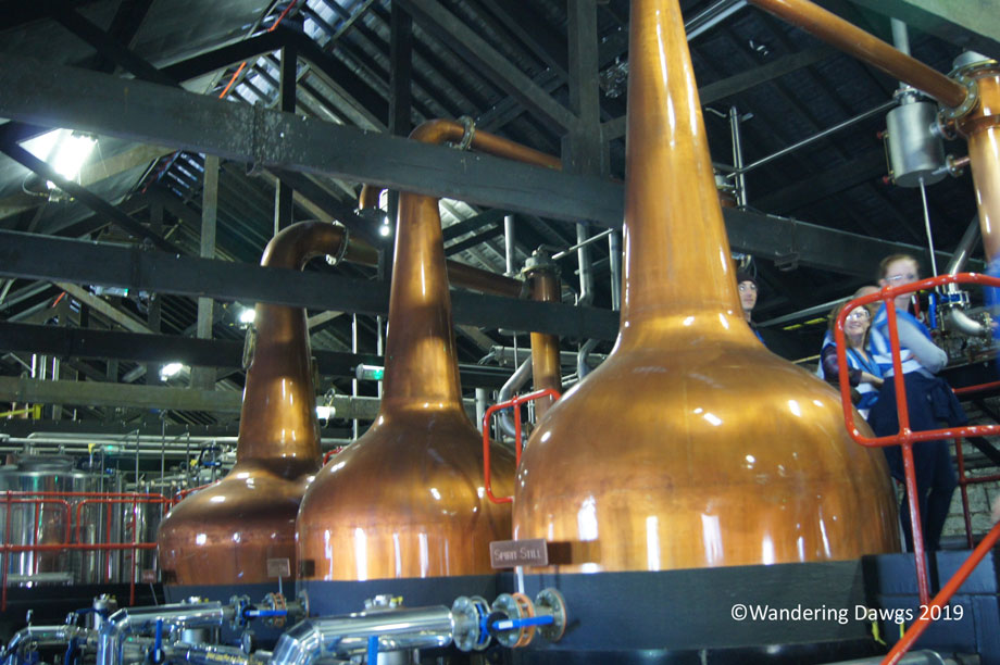 20190511-Day-11-Blarney-Stone-Henrys-birthday-Sony-(87)