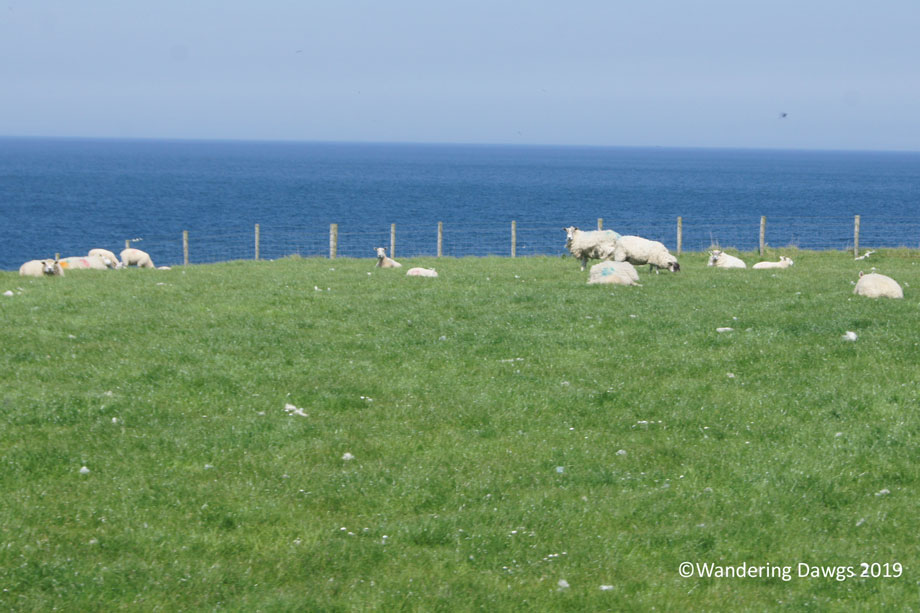 20190514-Day-14-Giants-Causeway-Sony-(72)