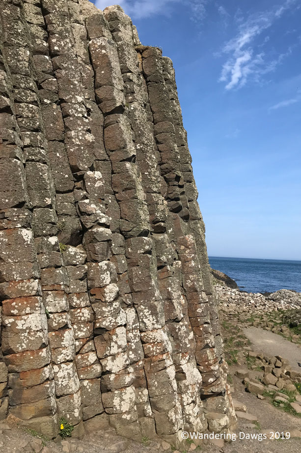 20190514-Day-14-Giants-Causeway-Tour-IPhone-(8)