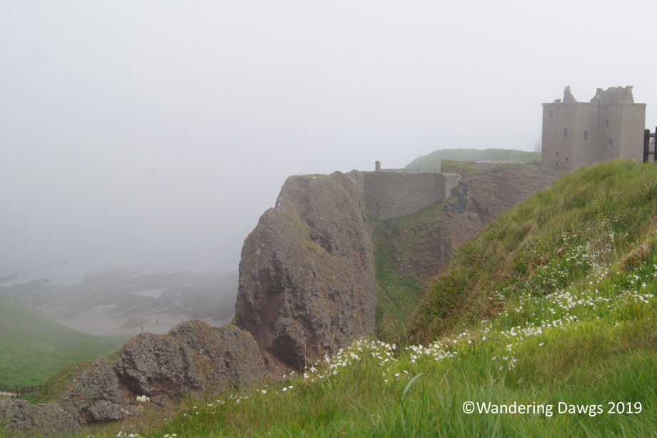 20190520-Day-20-Aberdeen-to-Fernie-Clastle-Hamish-the-Highland-Cow-Sony-(29)