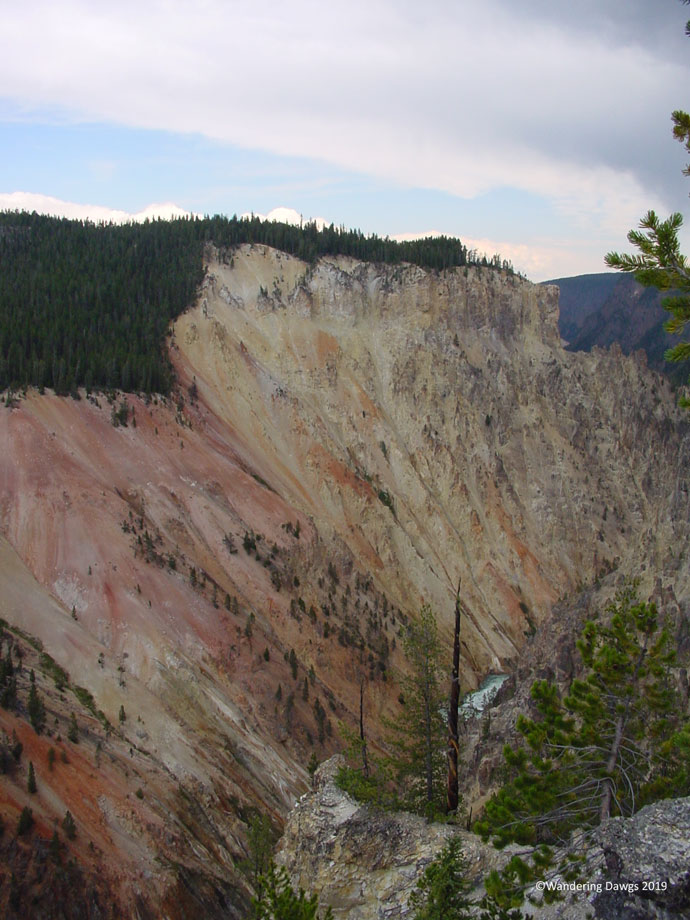 20060808Yellowstone-(23)