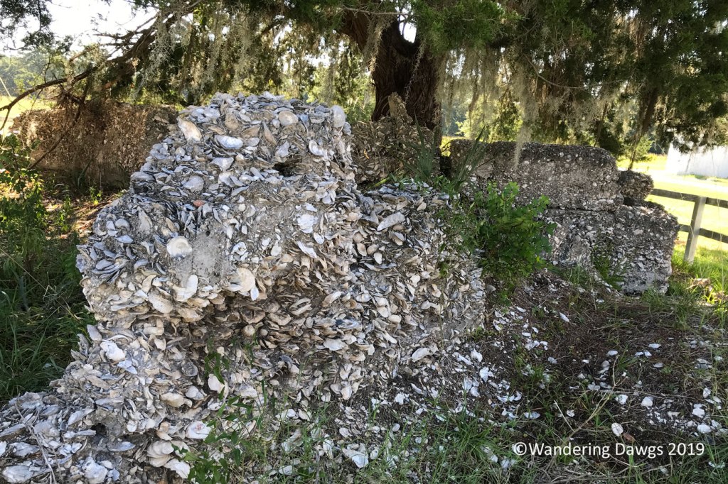 20190720-Sapelo-IPhone-(2)