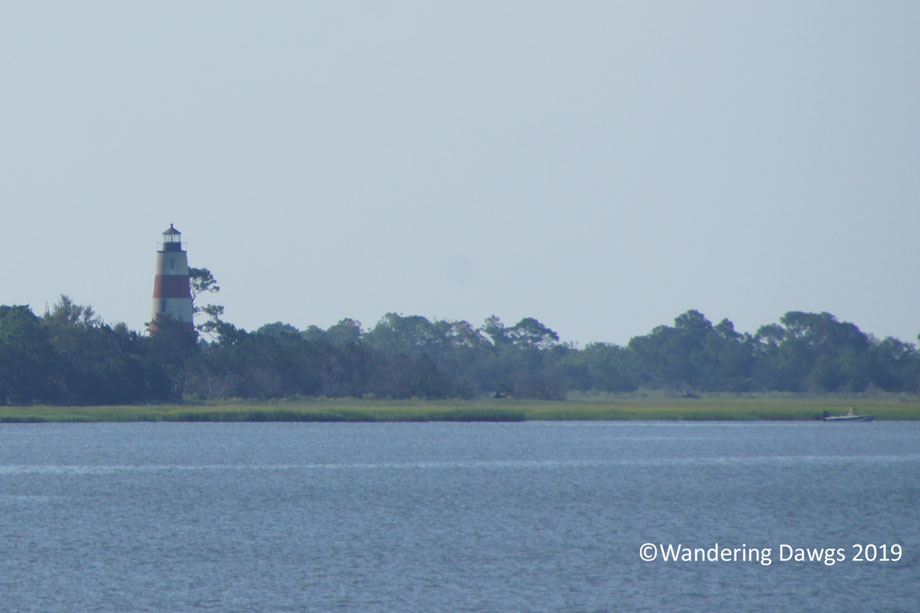 20190720-Sapelo-Island-(15)
