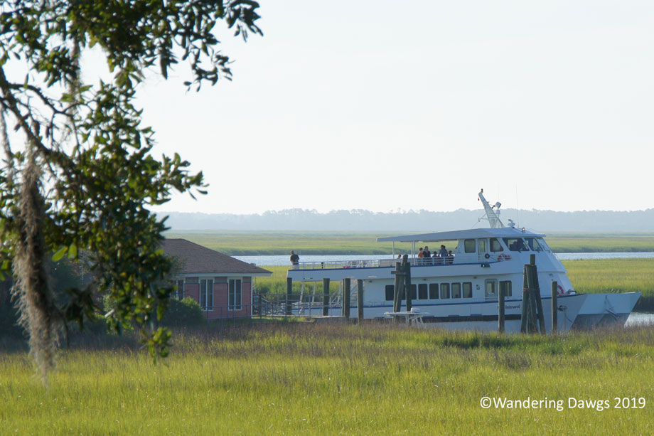 20190720-Sapelo-Island-(2)