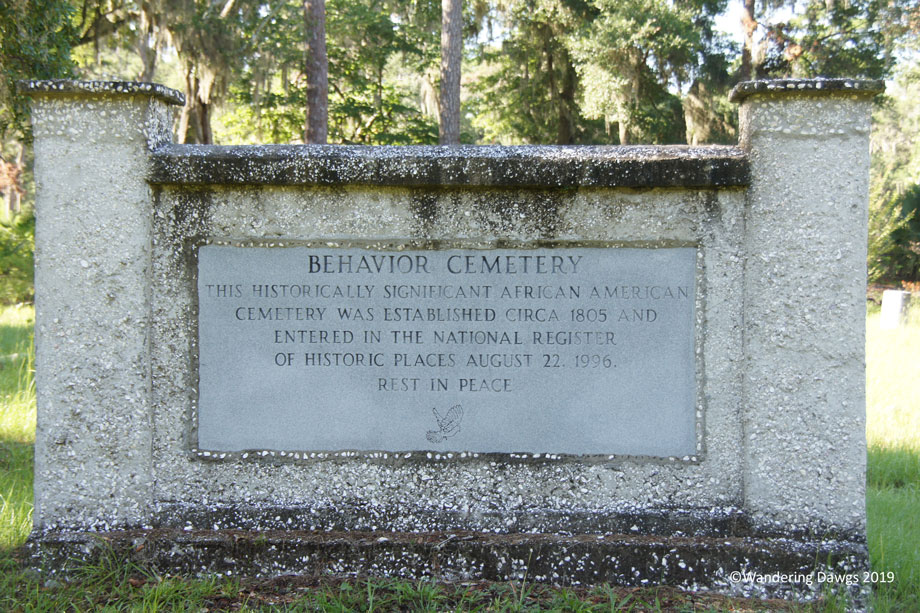 20190720-Sapelo-Island-(20)