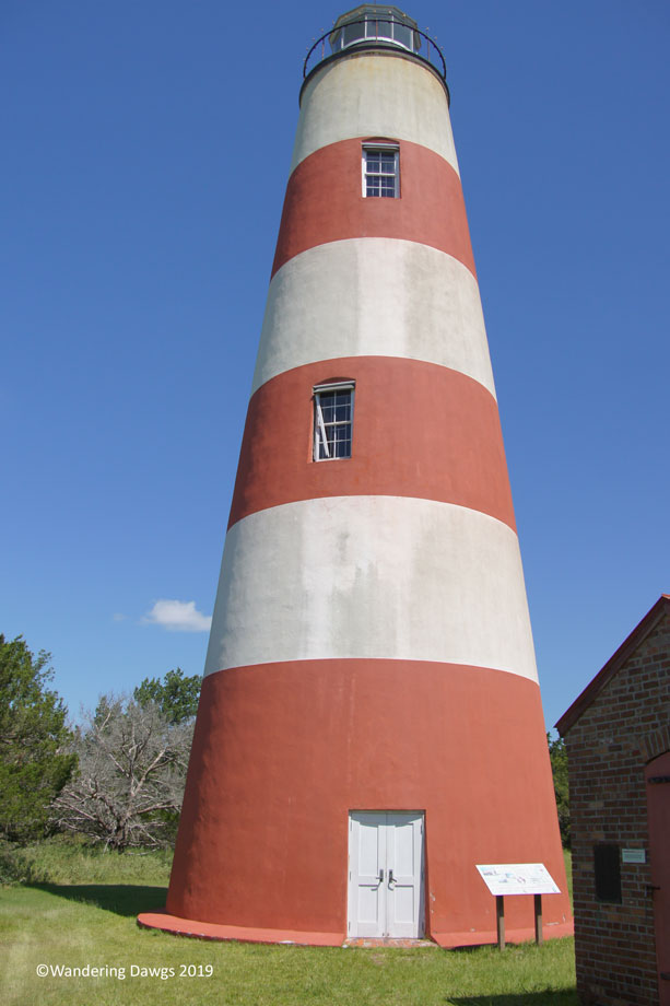 20190720-Sapelo-Island-(42)