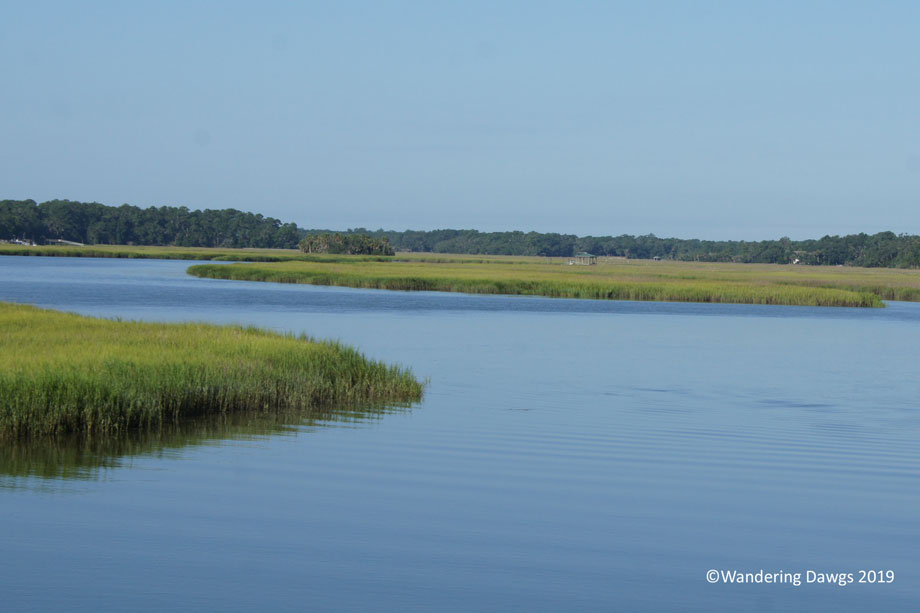 20190720-Sapelo-Island-(7)