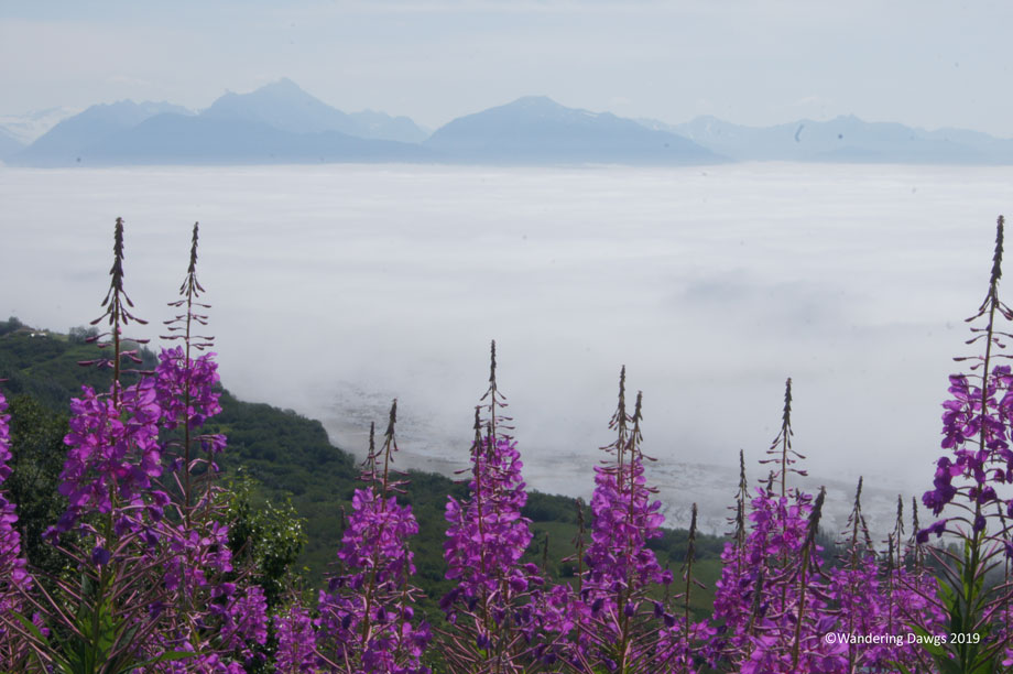 20130728Day-74Homer-(48)