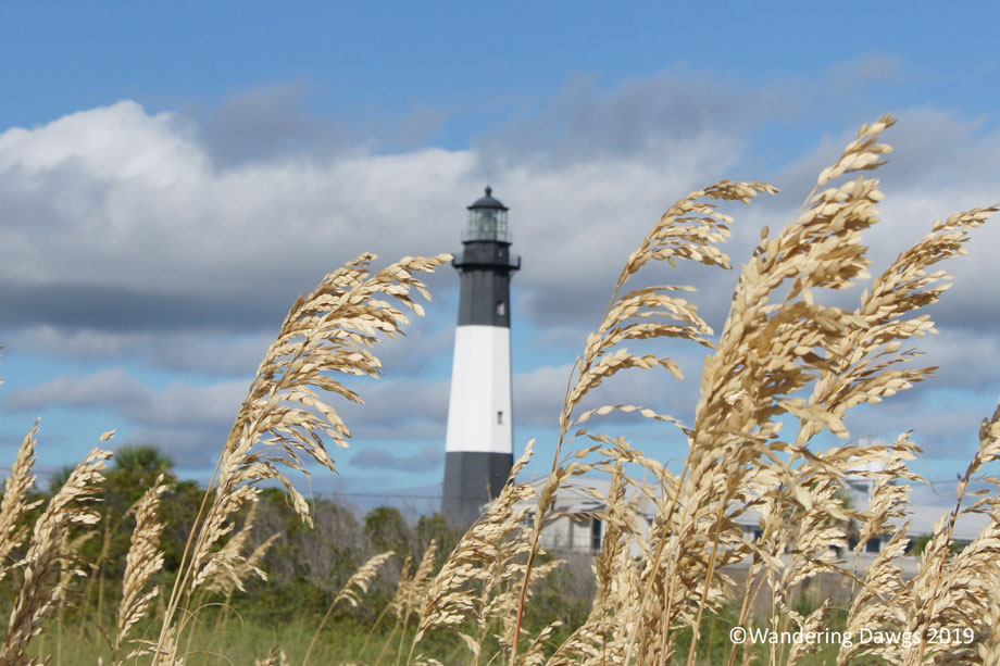 20180916North-Beach-and-Lighthouse-(4)