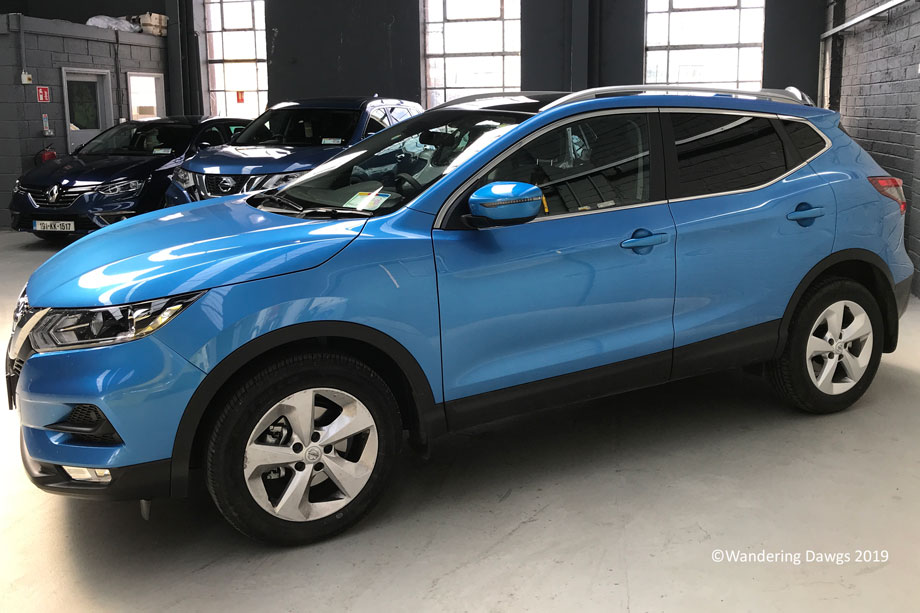 20190512-Day-12-Cork-to-Dublin-train-Mothers-Day-Iphone-(2)