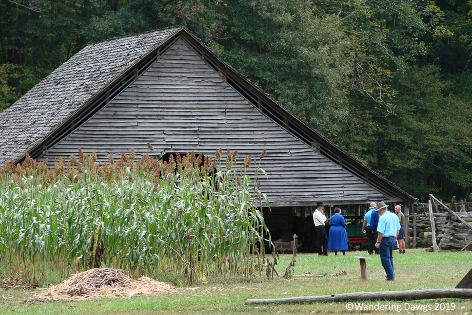 20071003Blue-Ridge-Parkway-(16)