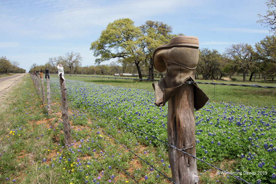 20150331Day-25pm-Willow-City-Loop-(10)
