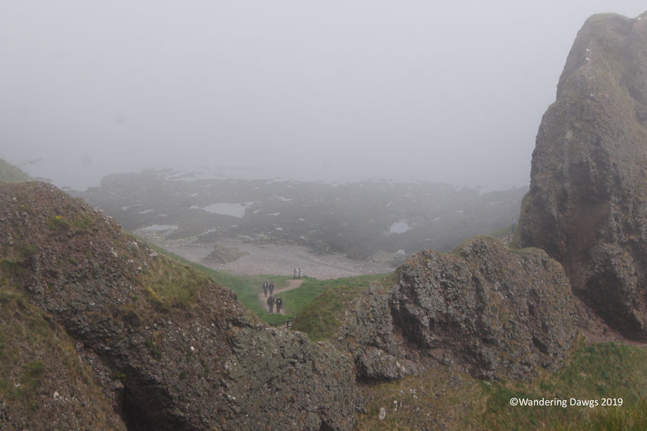 20190520-Day-20-Aberdeen-to-Fernie-Clastle-Hamish-the-Highland-Cow-Sony-(31)