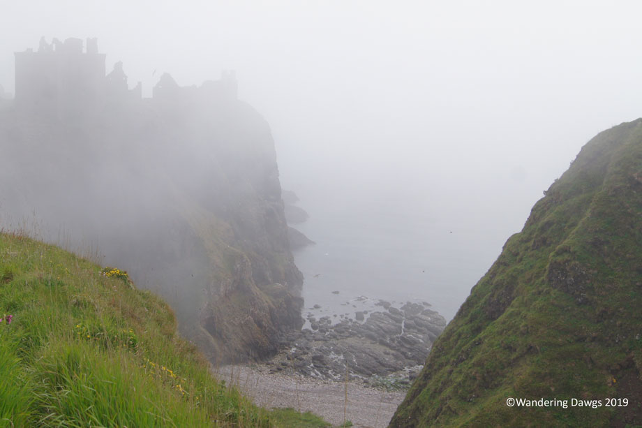 20190520-Day-20-Aberdeen-to-Fernie-Clastle-Hamish-the-Highland-Cow-Sony-(33)