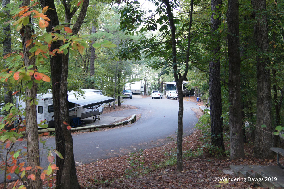 20141024Deerlick-Creek-(2)