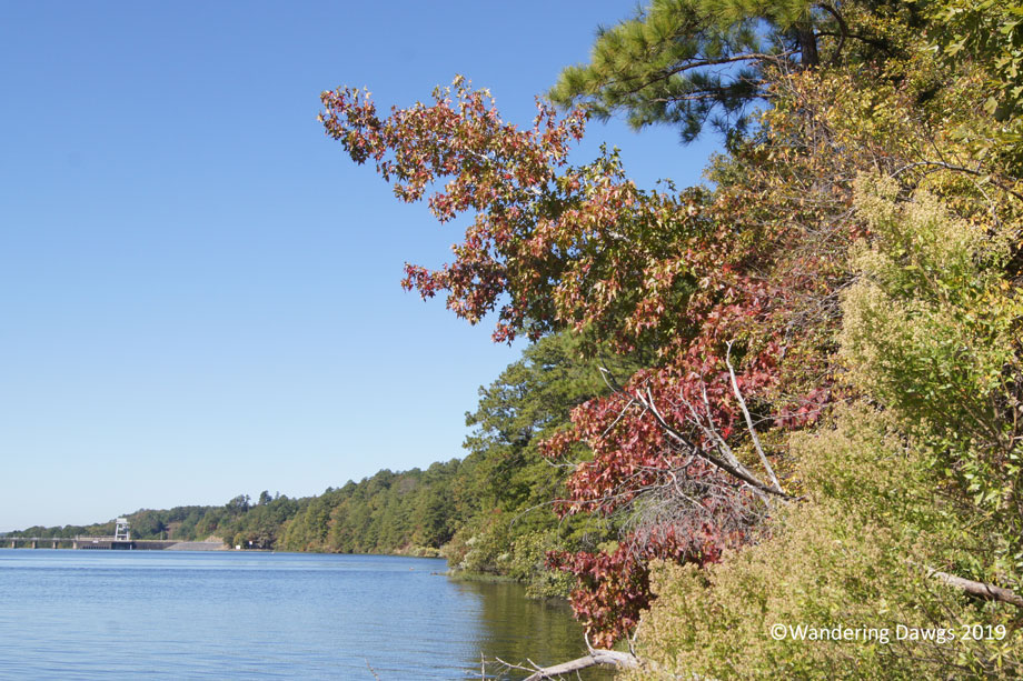 20141024Deerlick-Creek-(9)